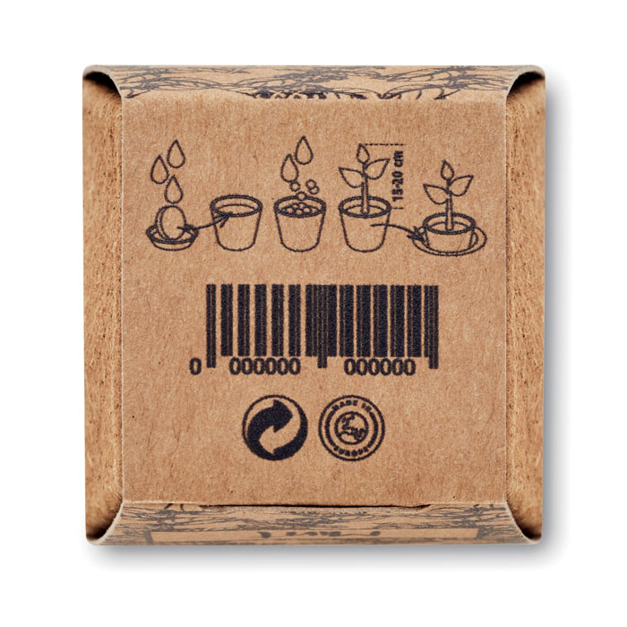 MINT KIT - Mint seeds growing kit
