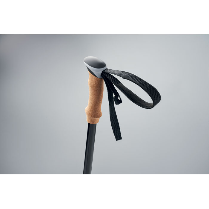 NOLE - Nordic walking poles