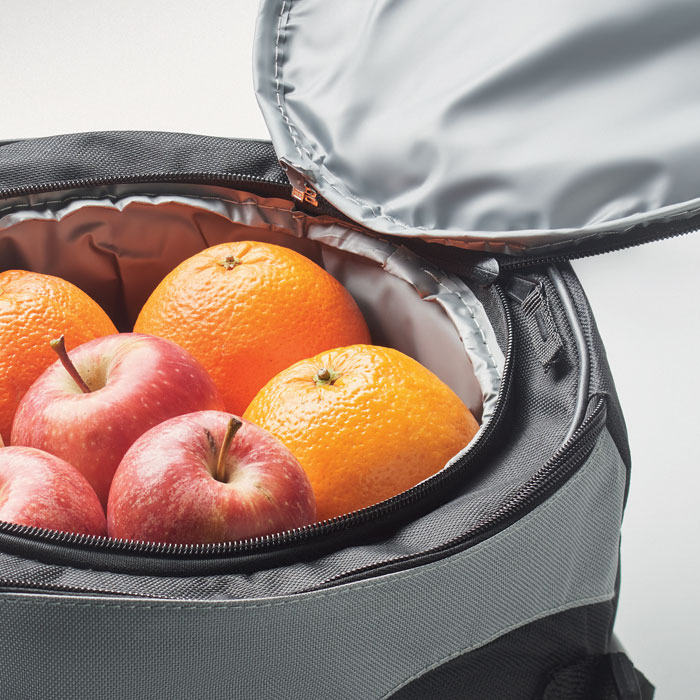 DONAU - Barbecue cooler bag