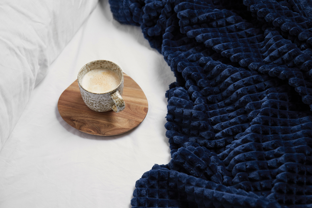 VINGA Branson GRS recycled pet blanket