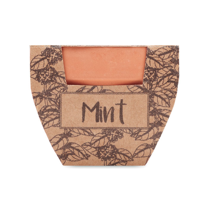 MINT POT - Terracotta pot mint seeds
