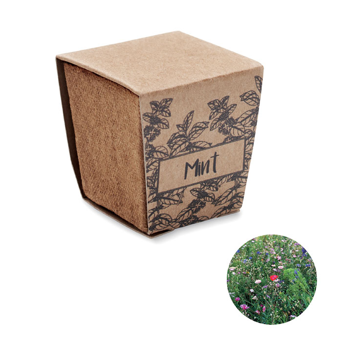 MINT KIT - Mint seeds growing kit