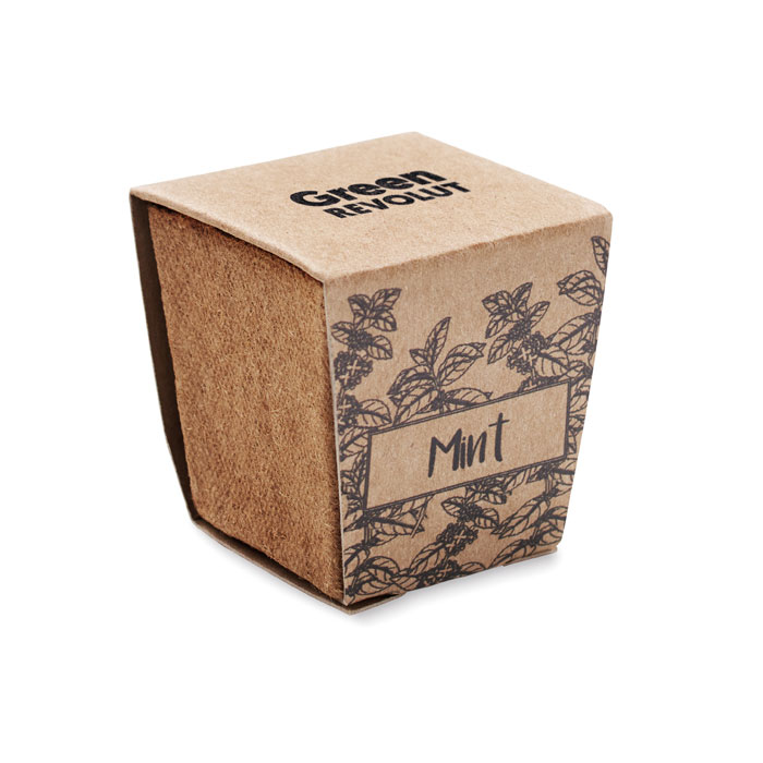MINT KIT - Mint seeds growing kit