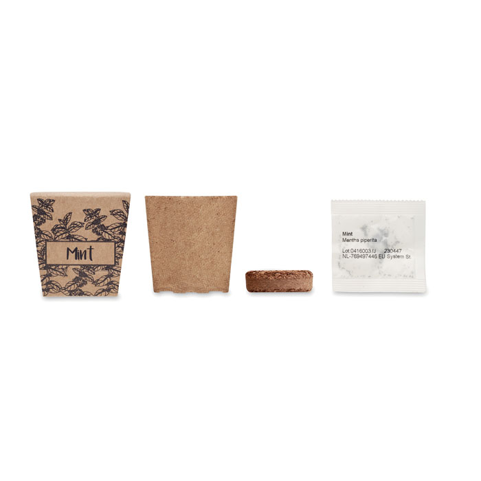 MINT KIT - Mint seeds growing kit